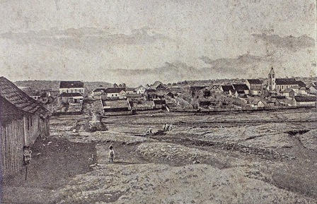 Palmas